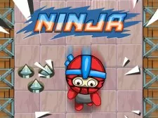 ninja